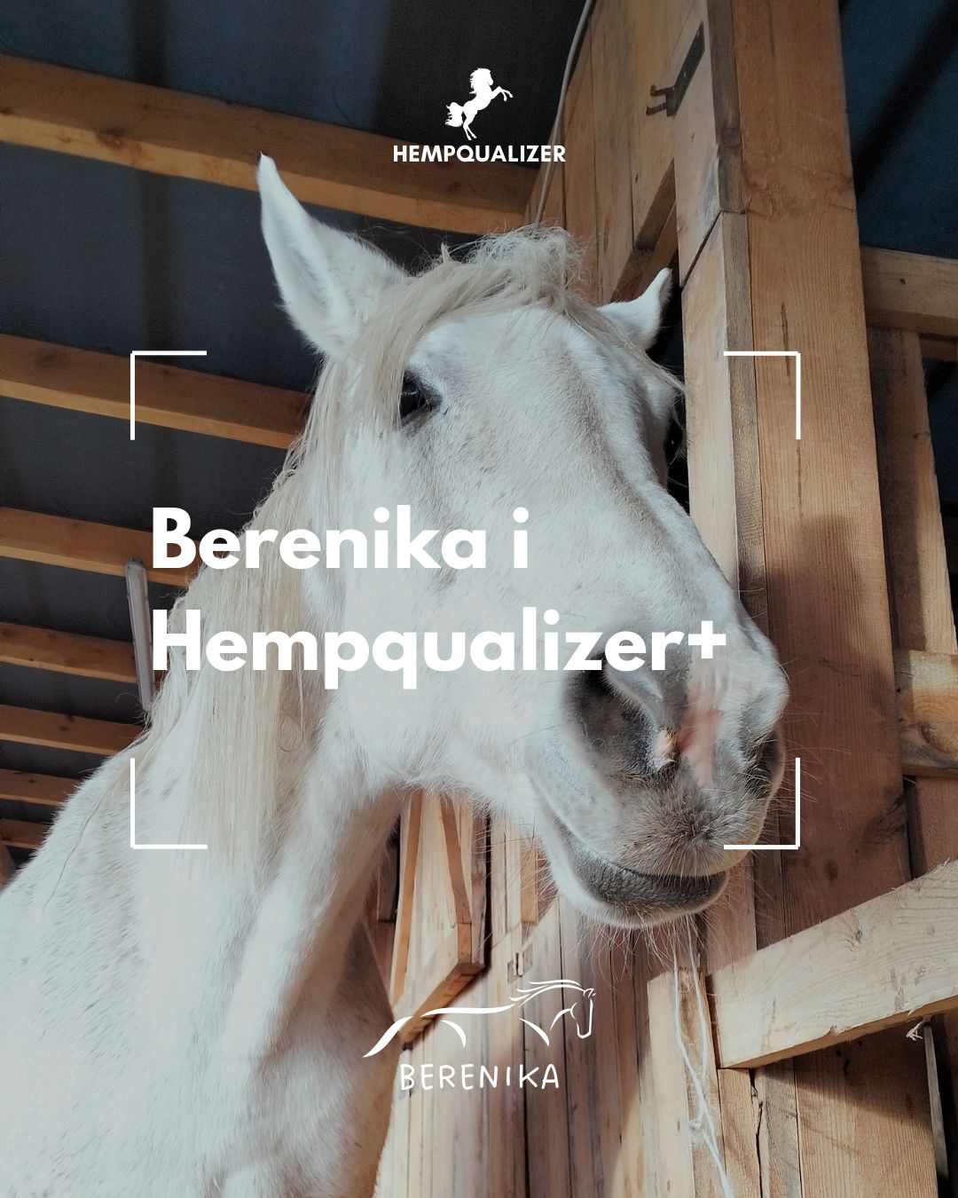 HEMPQUALIZER+ BERENIKA RAO