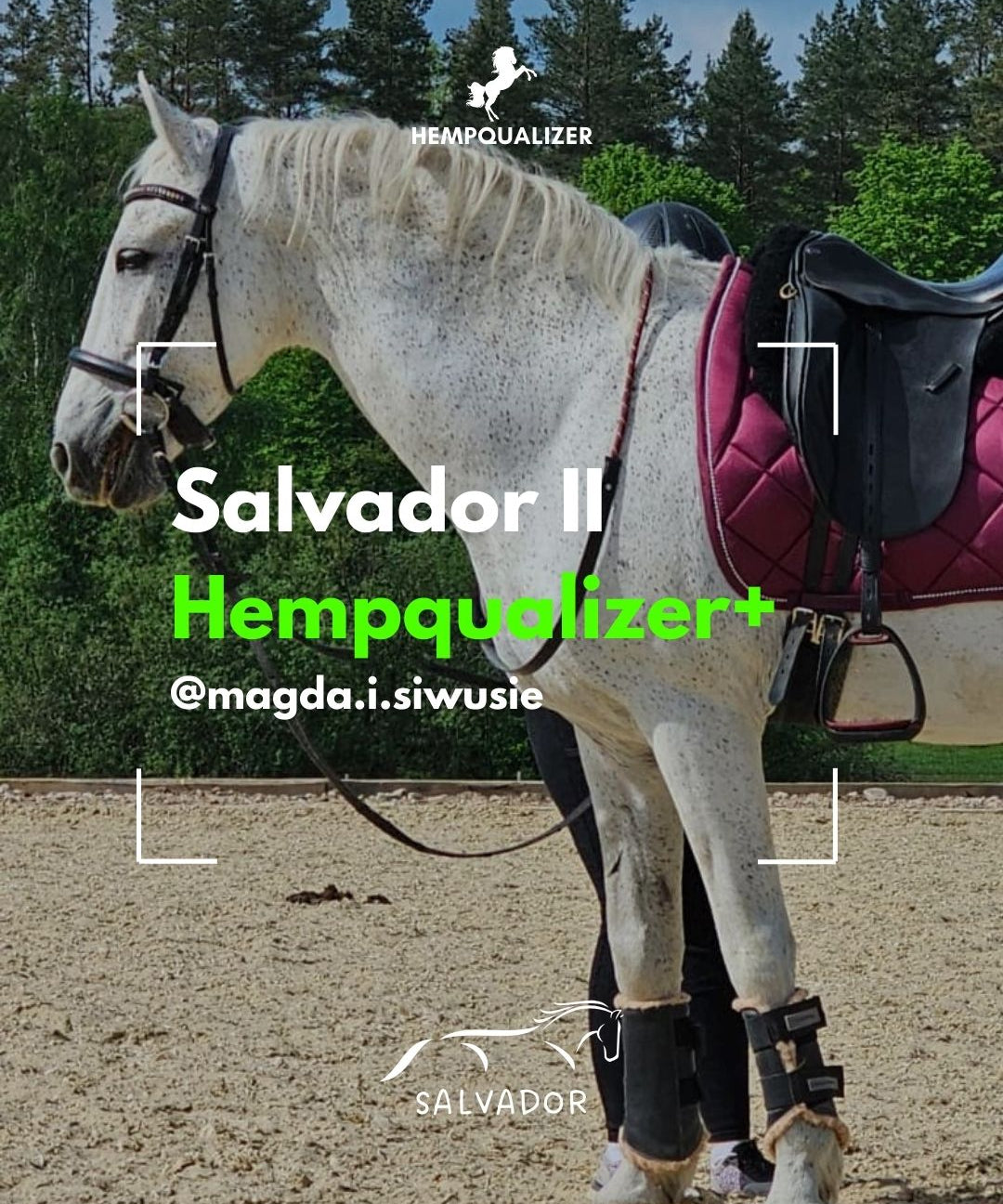 HEMPQUALIZER+ SALVADOR USPOKOJENIE/ZWYRODNIENIA