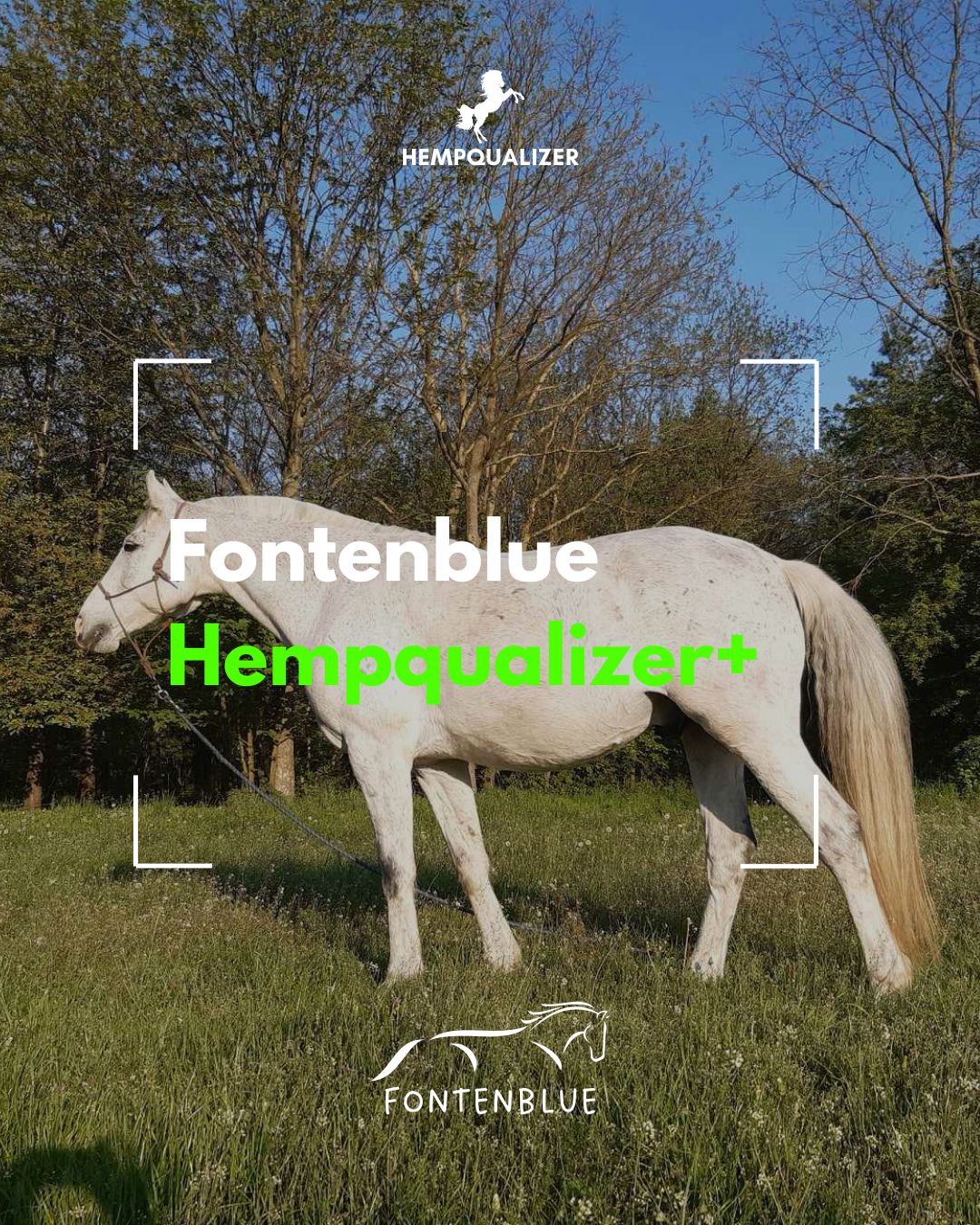 HEMPQUALIZER+ FONTENBLUE RAO