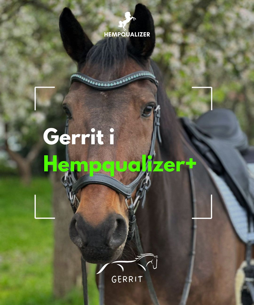 HEMPQUALIZER+ GERRIT ASTMA/STAWY