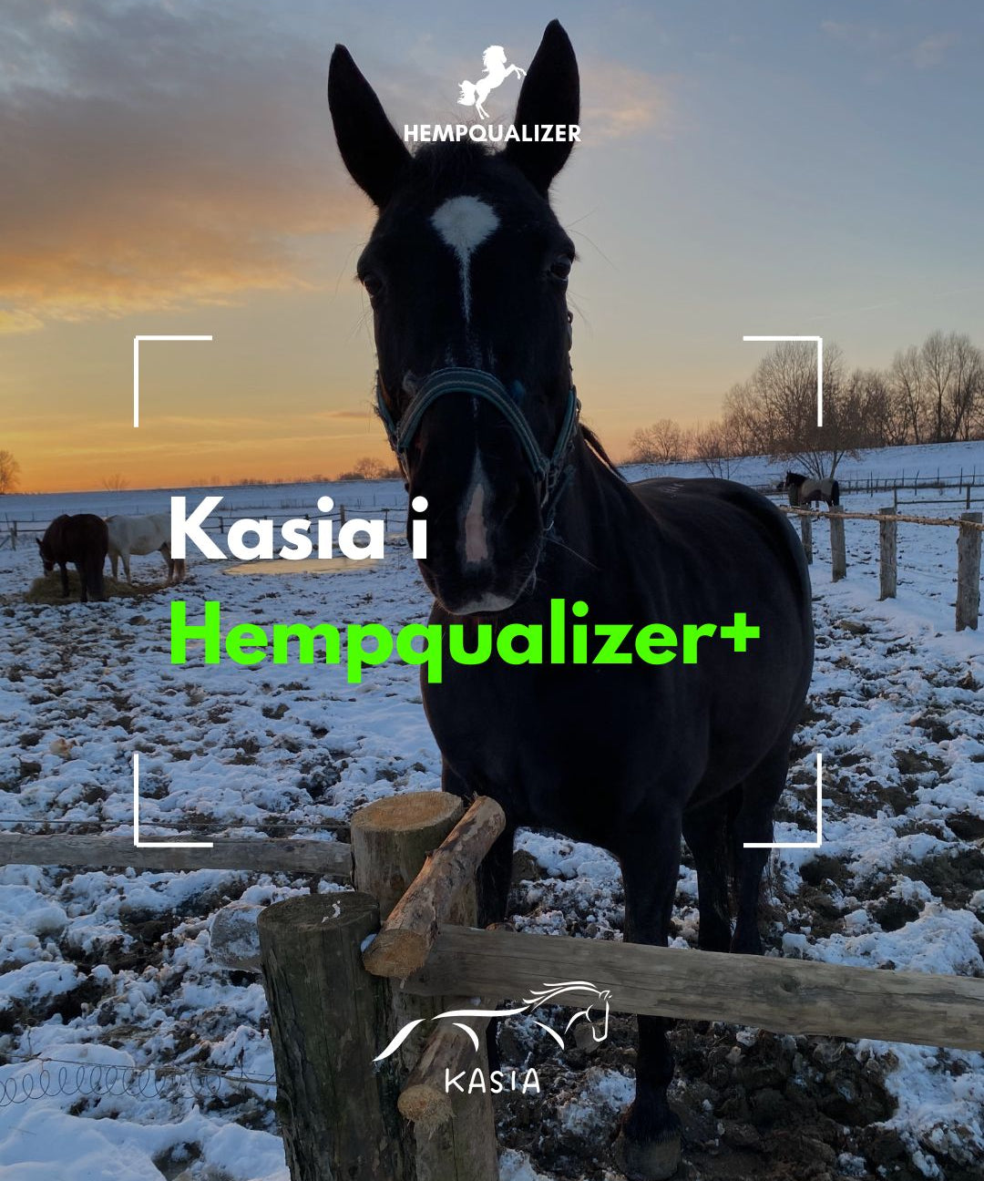 HEMPQUALIZER+ KASIA USPOKOJENIE/WRZODY/ZWYRODNIENIA