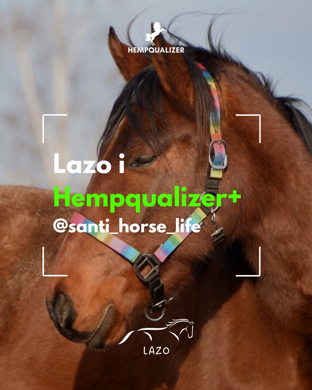 HEMPQUALIZER+ LAZO USPOKOJENIE/STAWY