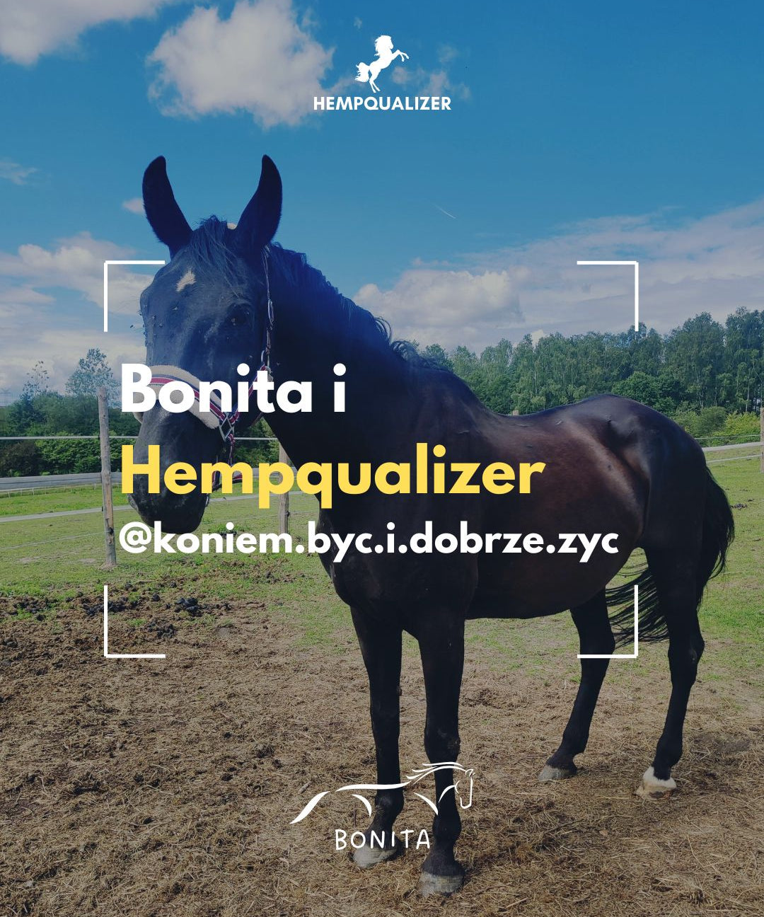 HEMPQUALIZER BONITA USPOKOJENIE