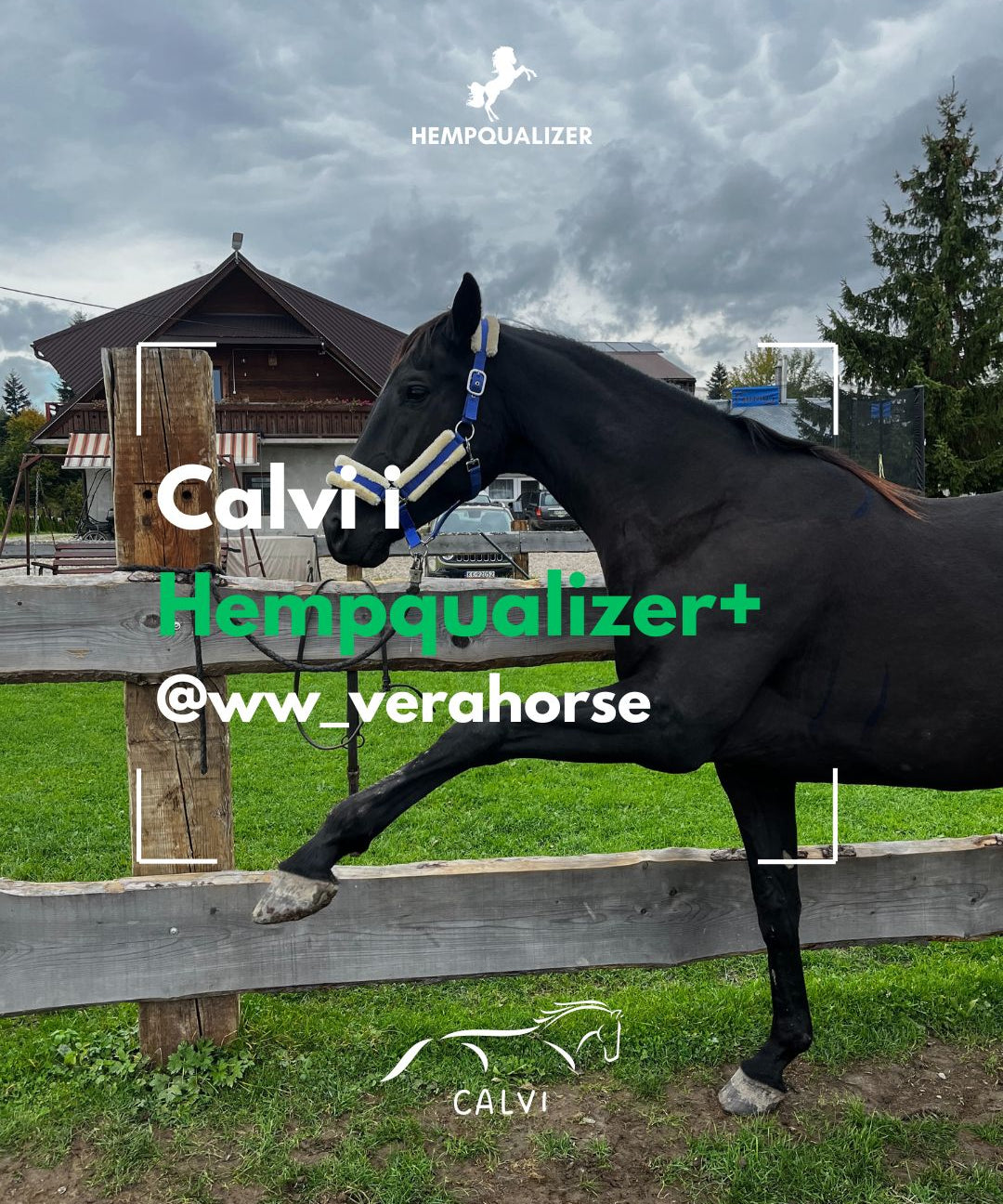 HEMPQUALIZER+ CALVI USPOKOJENIE