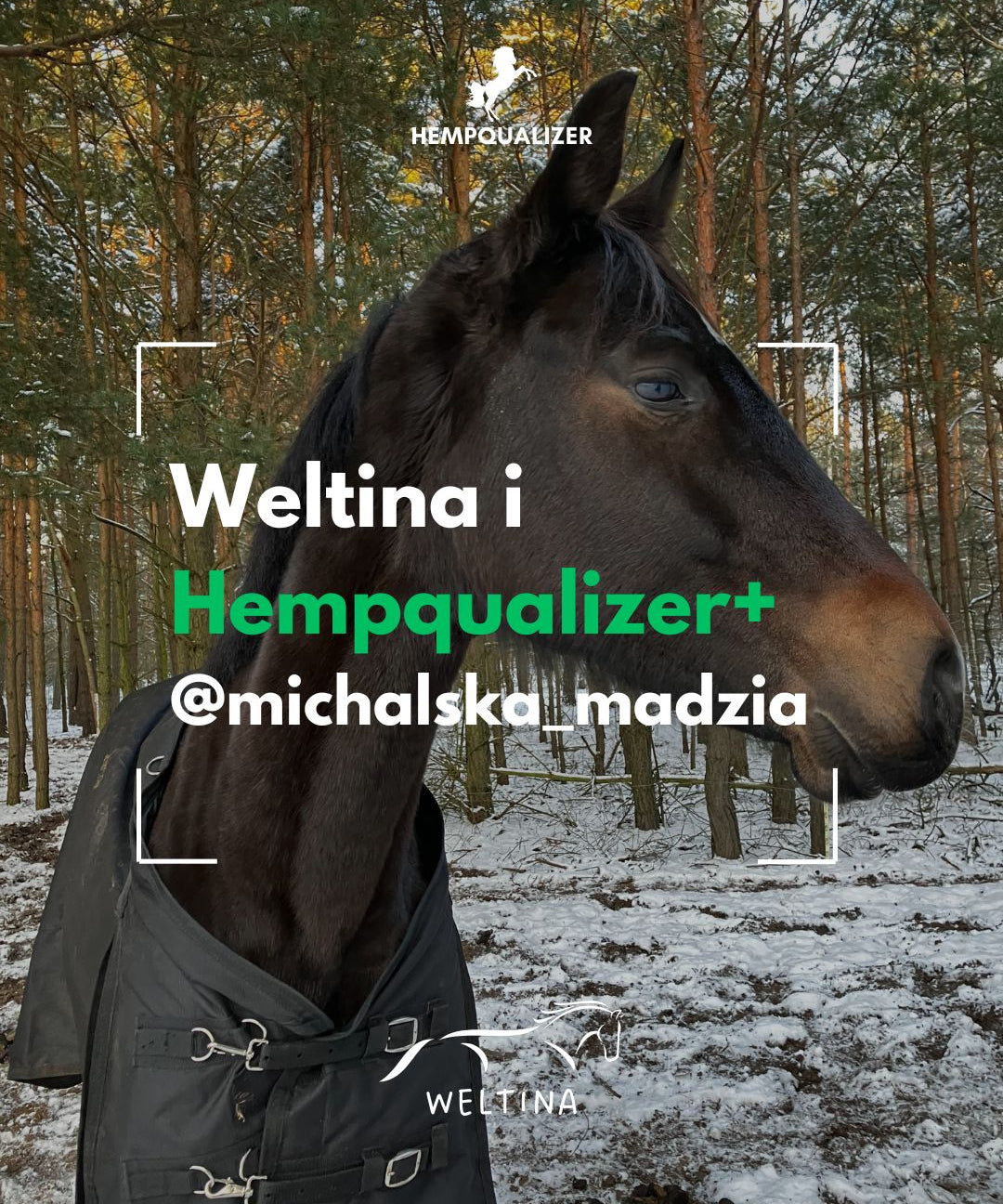 HEMPQUALIZER+ WELTINA USPOKOJENIE/RAO