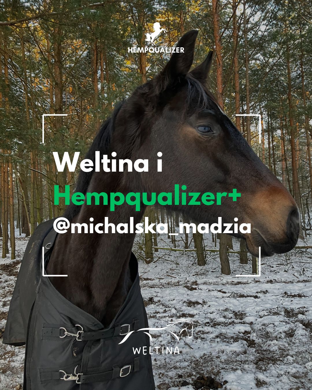 HEMPQUALIZER+ WELTINA USPOKOJENIE/RAO