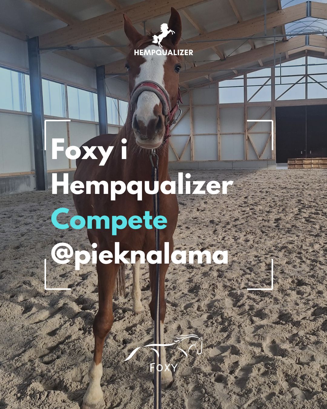HEMPQUALIZER COMPETE FOXY USPOKOJENIE