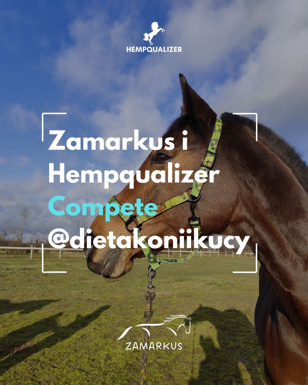 HEMPQUALIZER COMPETE ZAMARKUS USPOKOJENIE