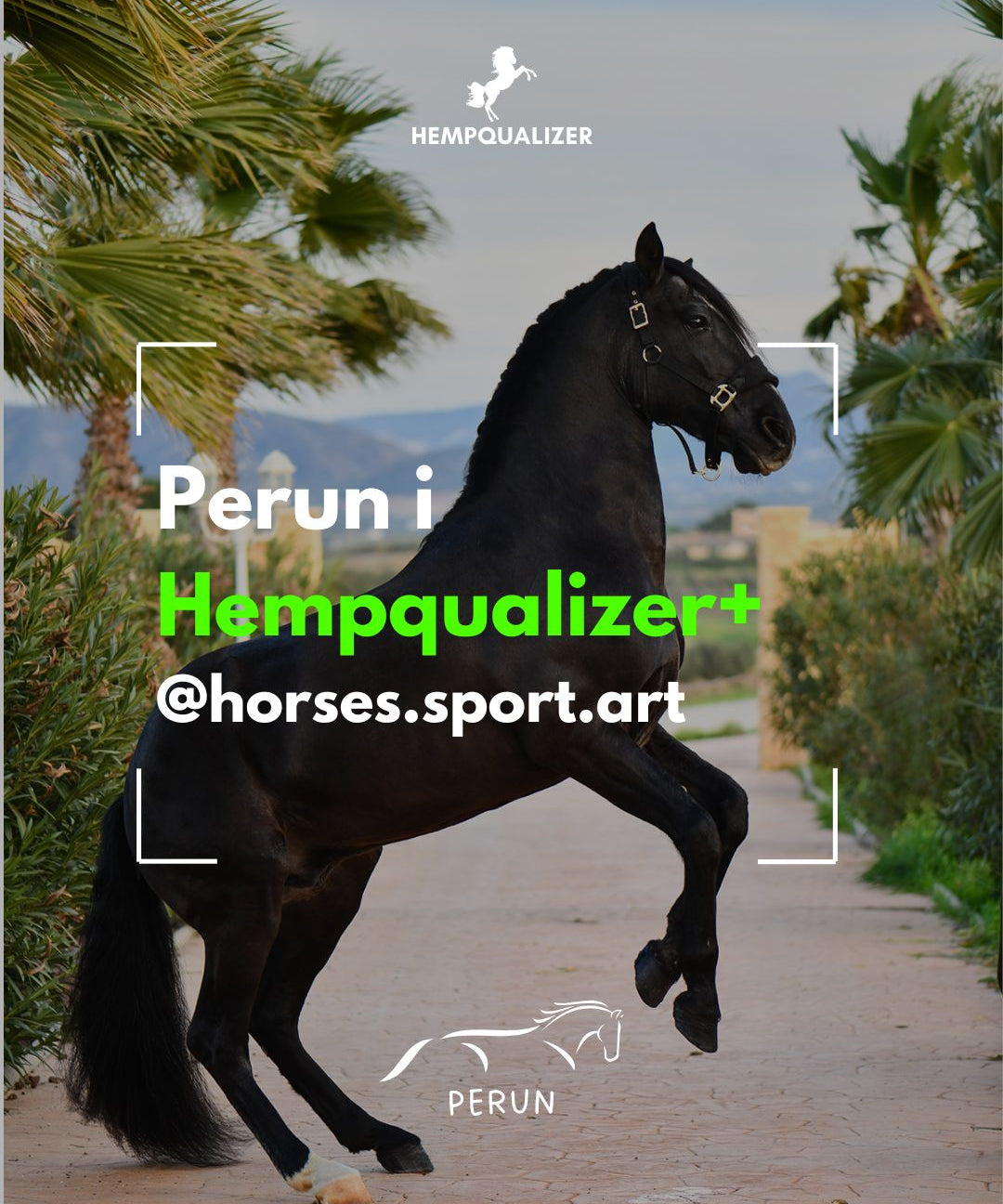 HEMPQUALIZER+ PERUN USPOKOJENIE/SZTYWNOŚĆ