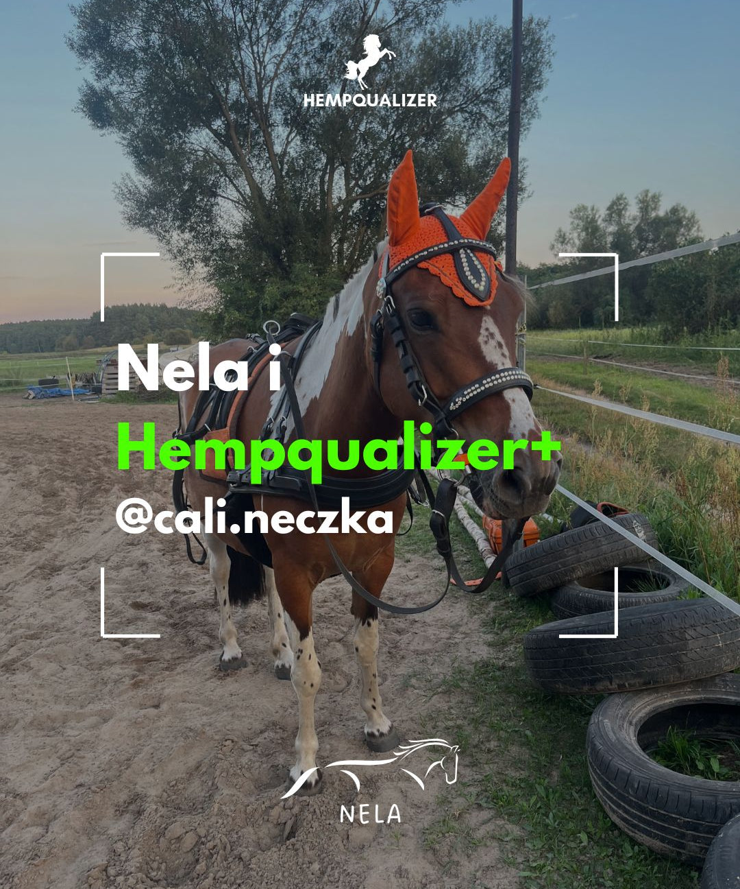 HEMPQUALIZER+ NELA USPOKOJENIE