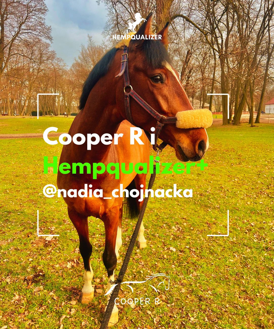 HEMPQUALIZER+ COOPER R USPOKOJENIE
