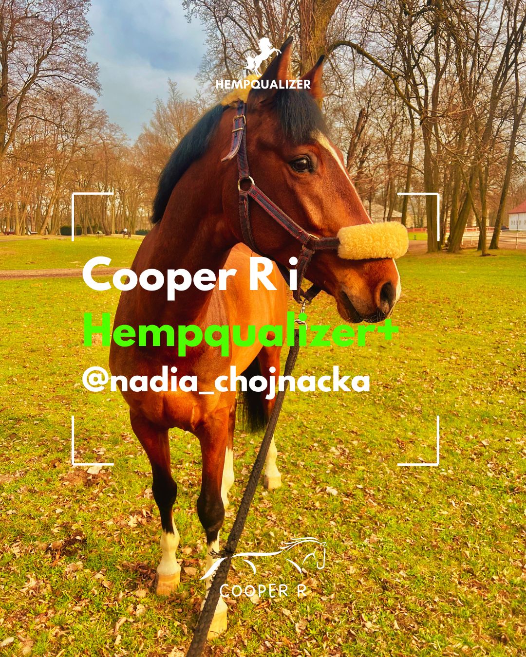 HEMPQUALIZER+ COOPER R USPOKOJENIE