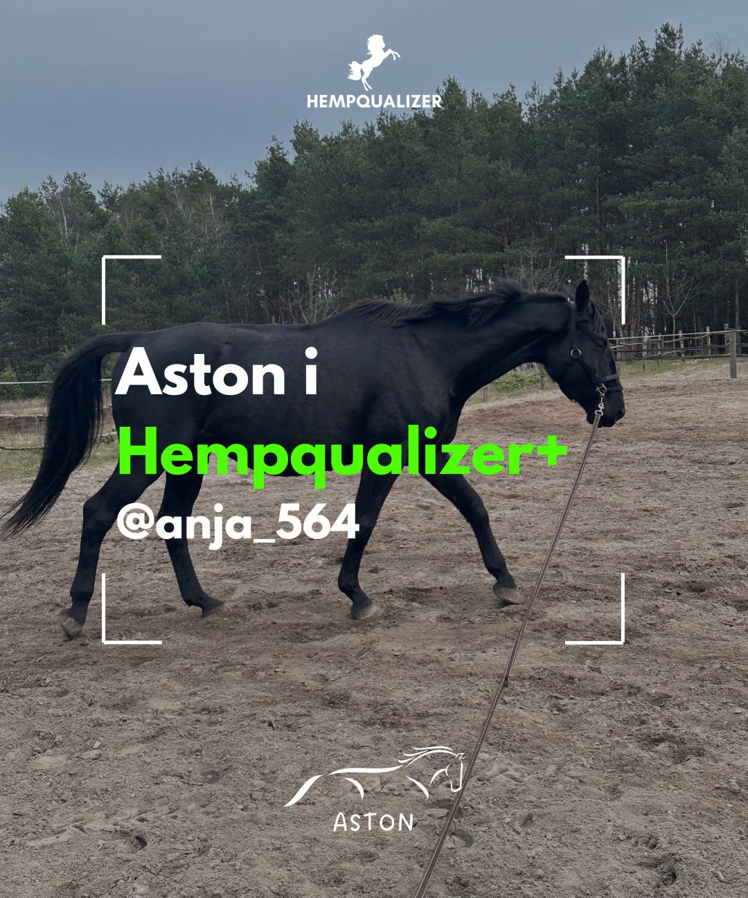 HEMPQUALIZER+ ASTON USPOKOJENIE