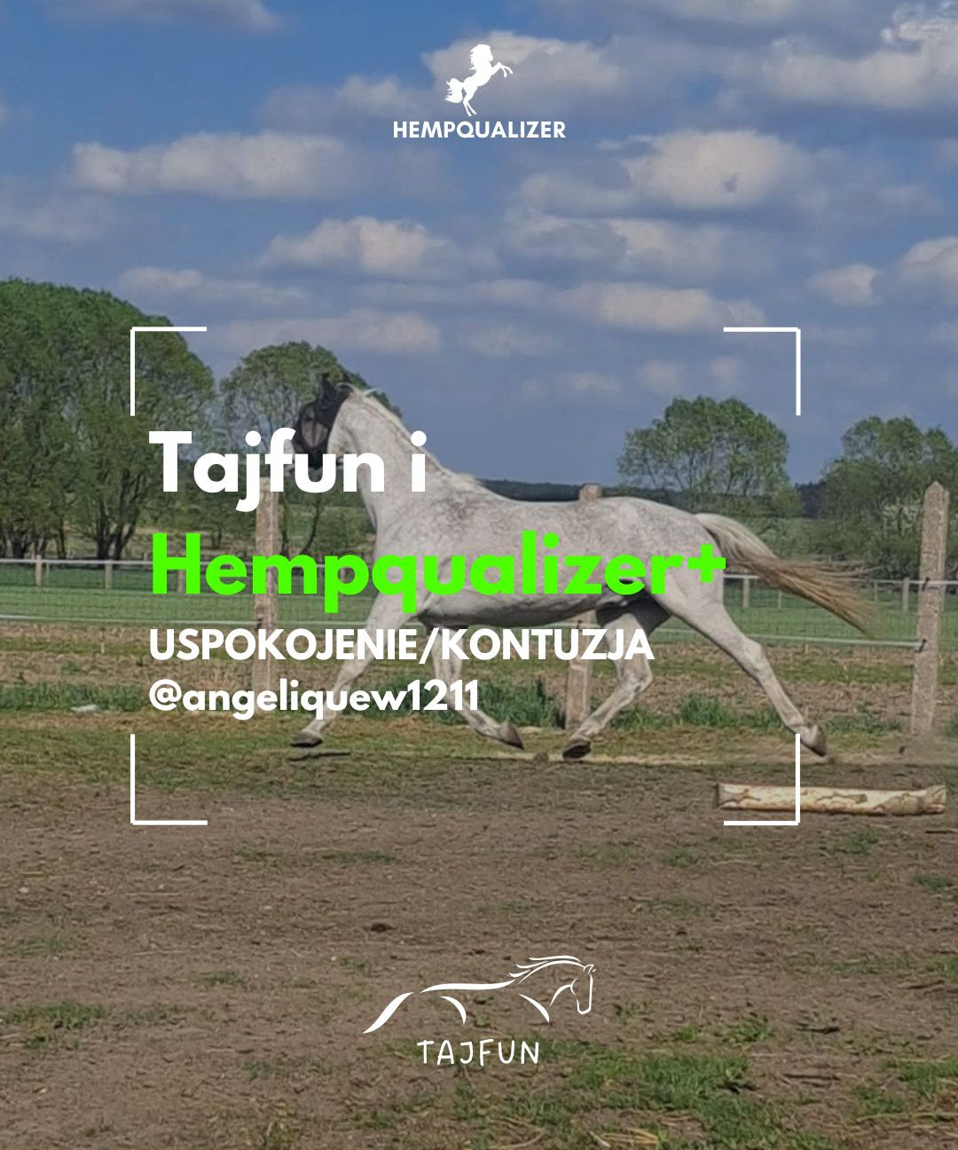 HEMPQUALIZER+ TAJFUN USPOKOJENIE/KONTUZJA