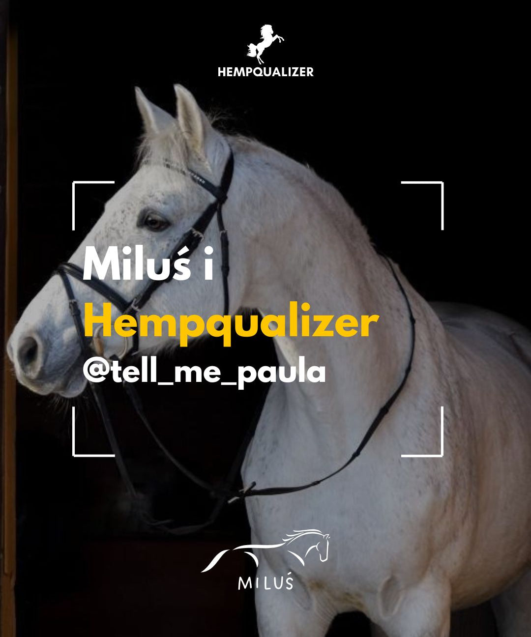 HEMPQUALIZER MILUŚ USPOKOJENIE