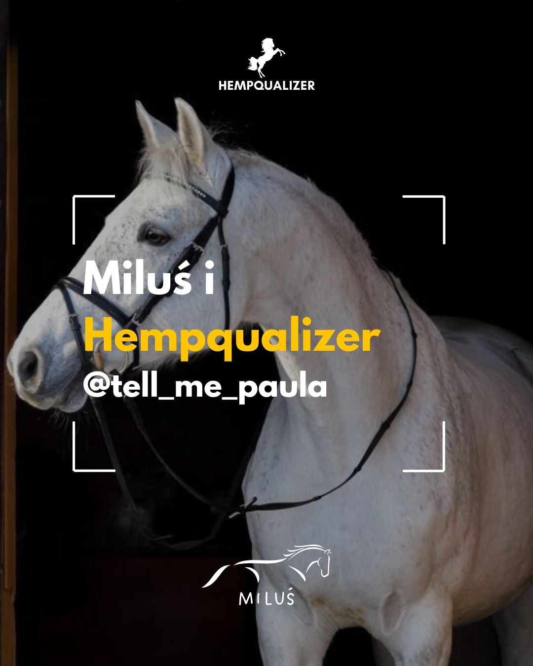 HEMPQUALIZER MILUŚ USPOKOJENIE