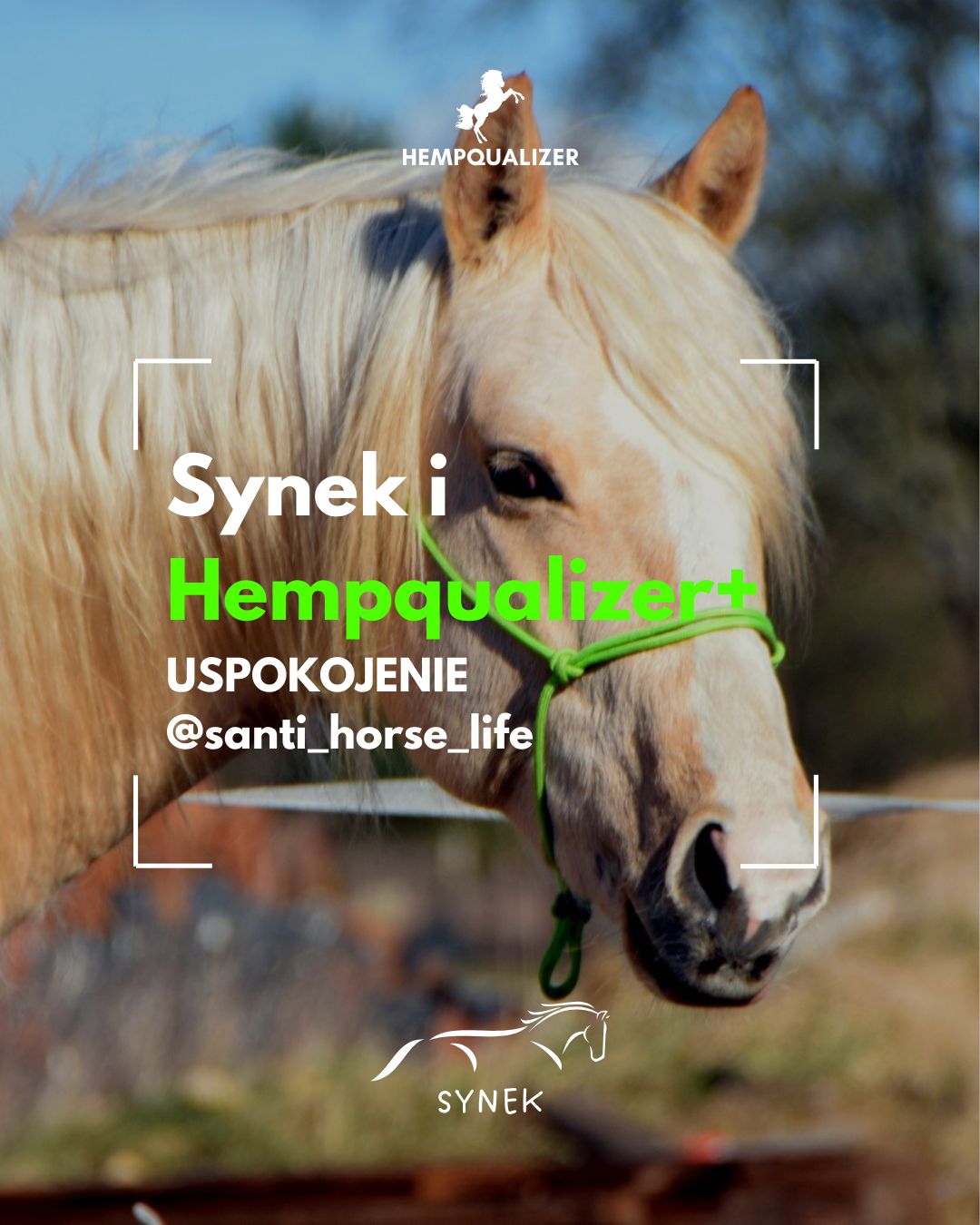 HEMPQUALIZER+ SYNEK USPOKOJENIE