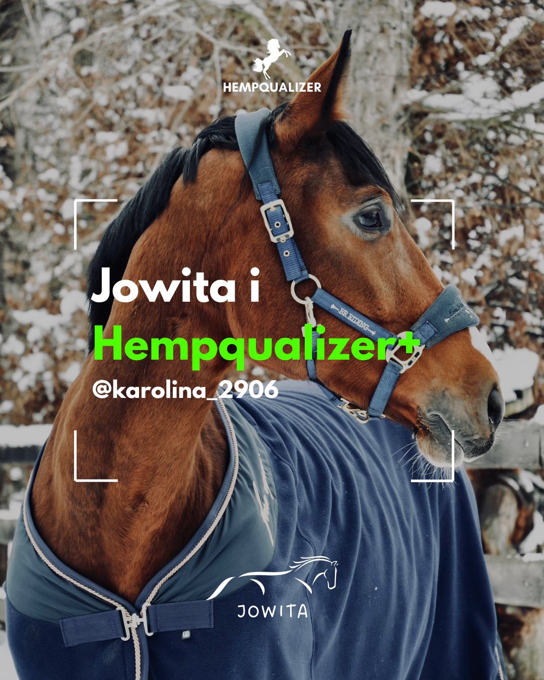 HEMPQUALIZER+ JOWITA ASTMA
