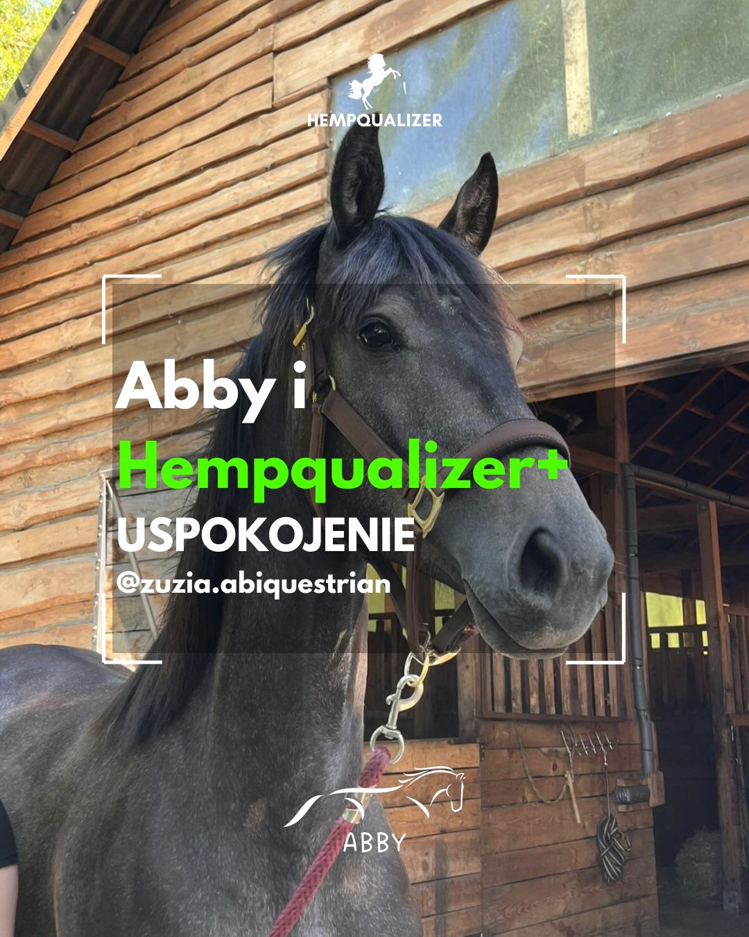 HEMPQUALIZER+ ABBY USPOKOJENIE
