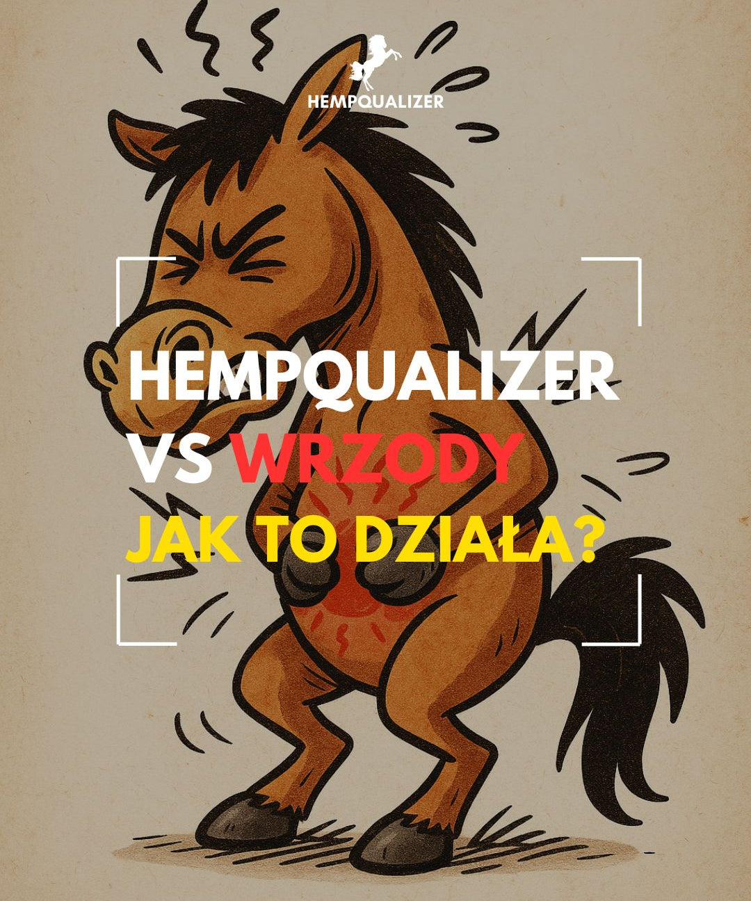 HEMPQUALIZER VS WRZODY U KONI