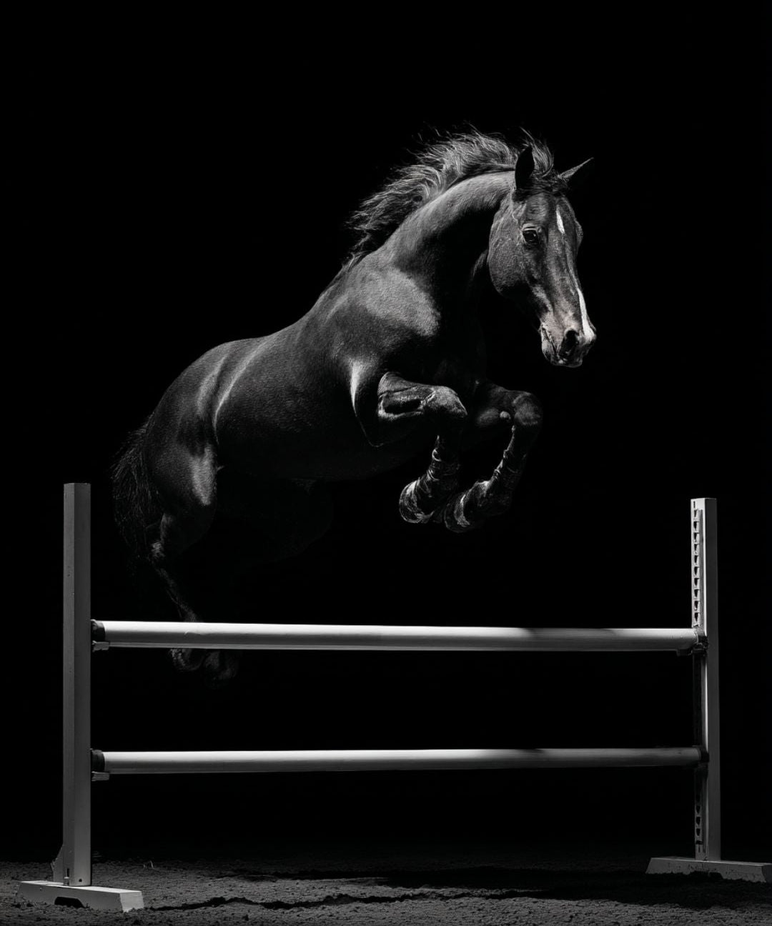 Jak nie doprowadzić do powstania freeze ani do jego utrwalenia u koni skokowych?