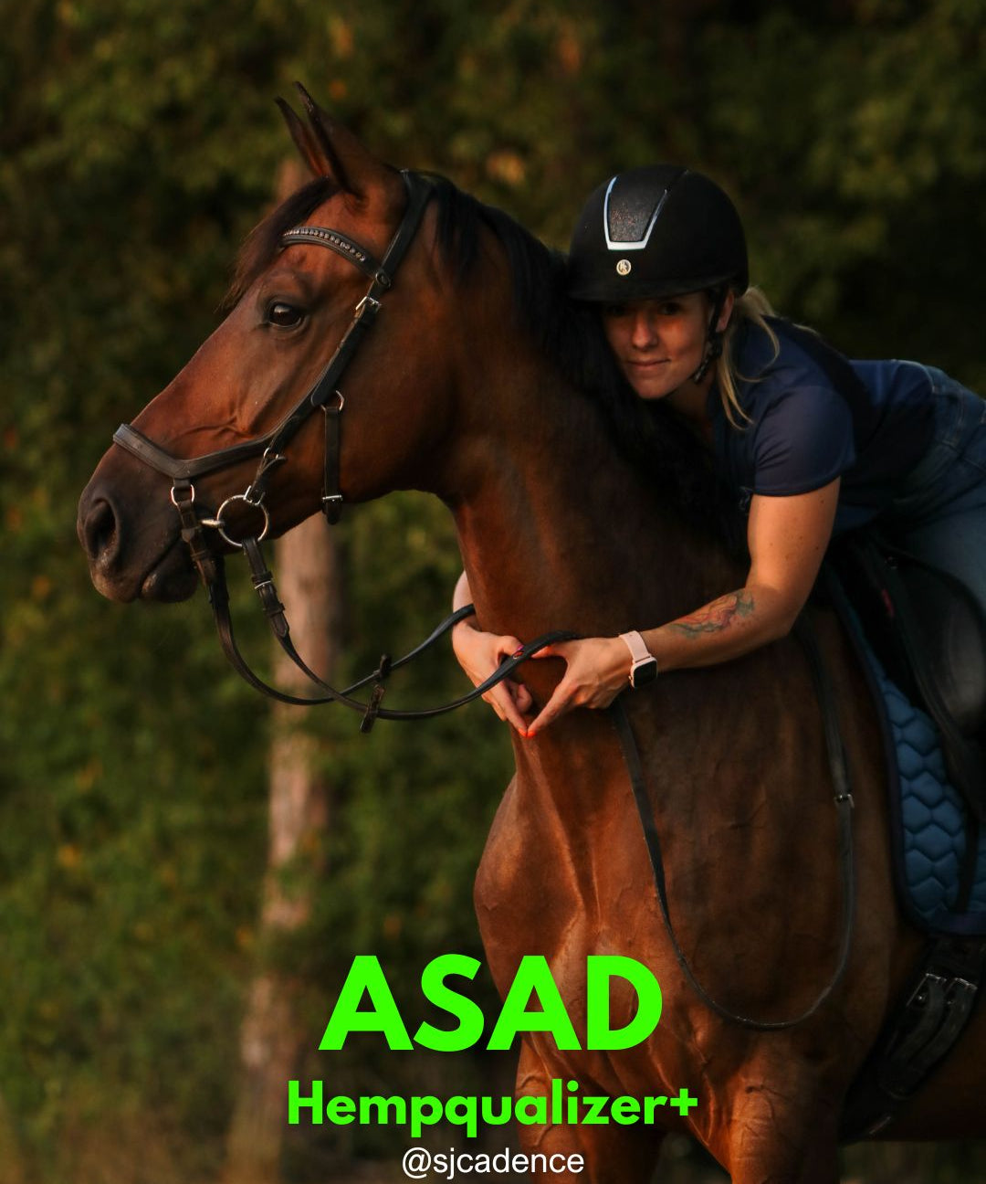 HEMPQUALIZER+: ASAD