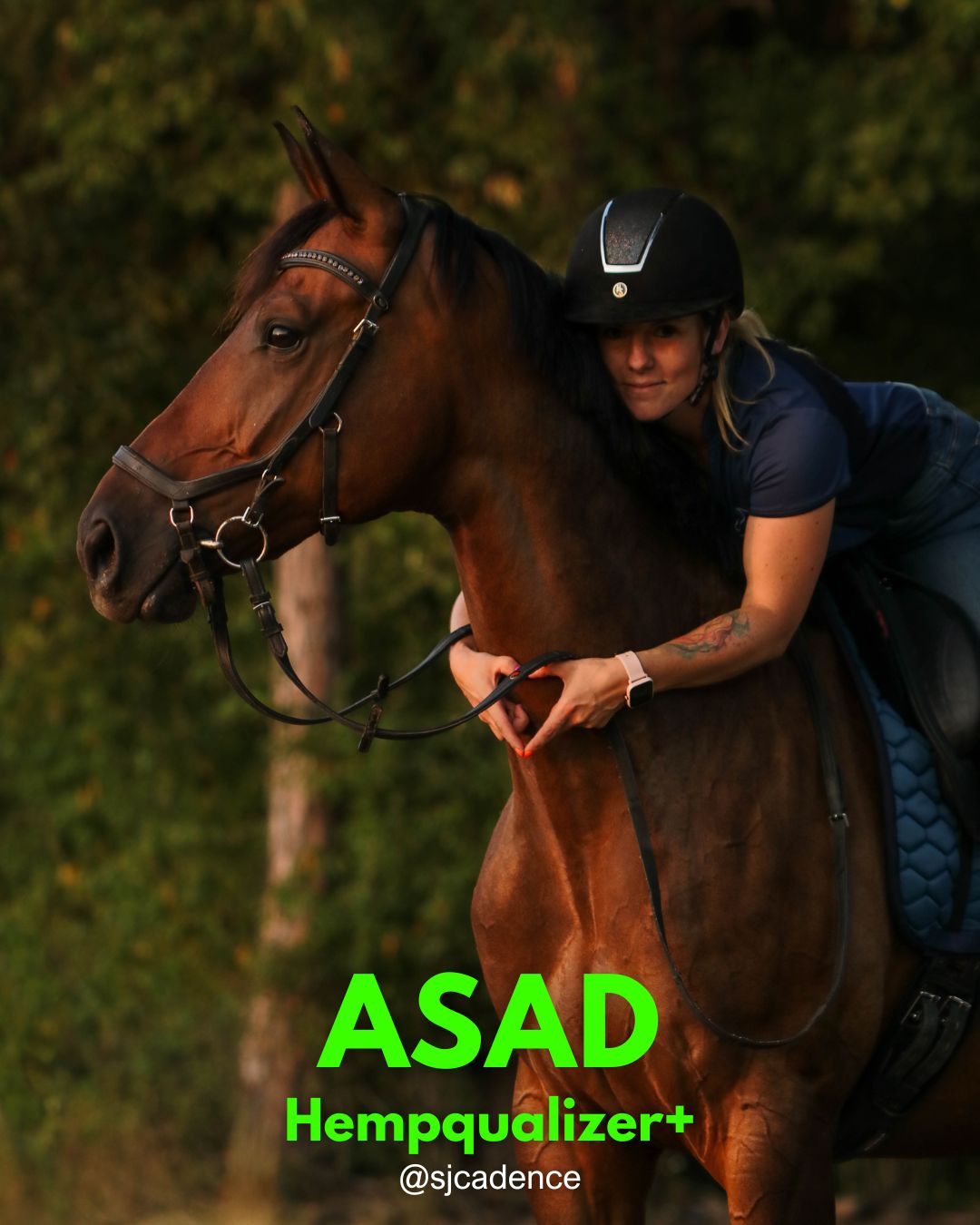 HEMPQUALIZER+: ASAD