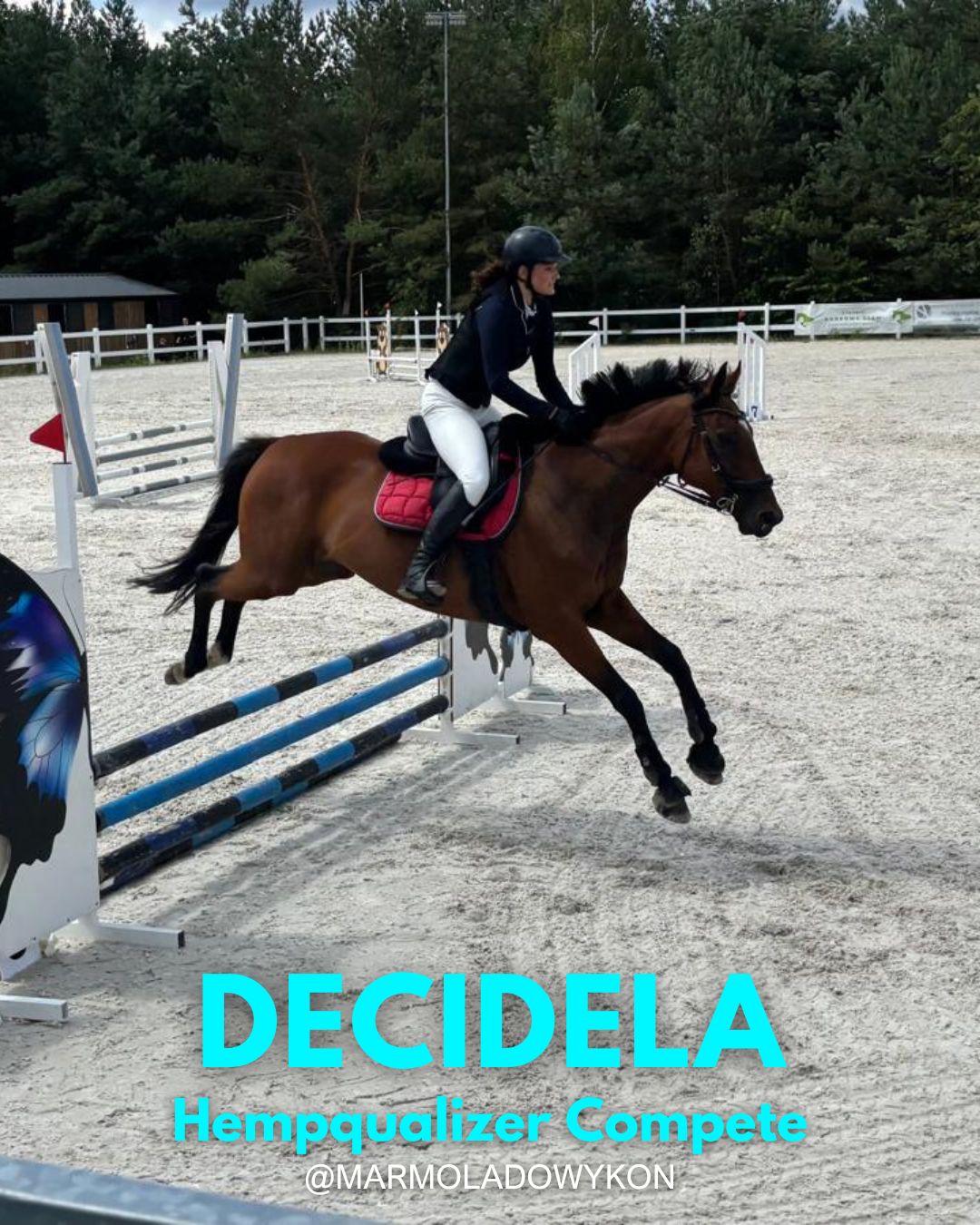 HEMPQUALIZER COMPETE: DECIDELA I OBERLINA