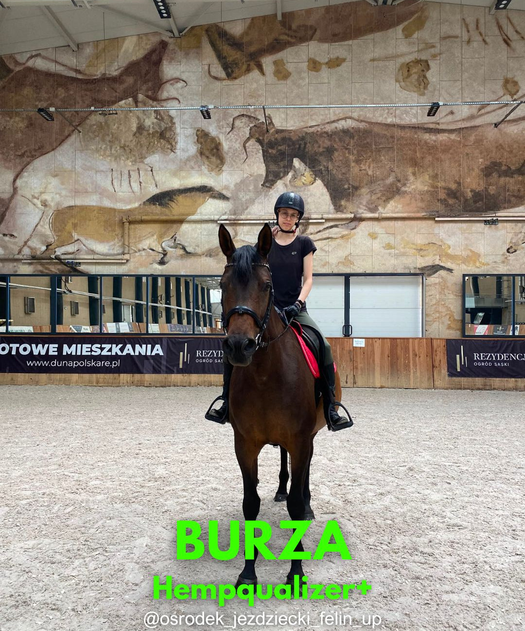 HEMPQUALIZER+ BURZA