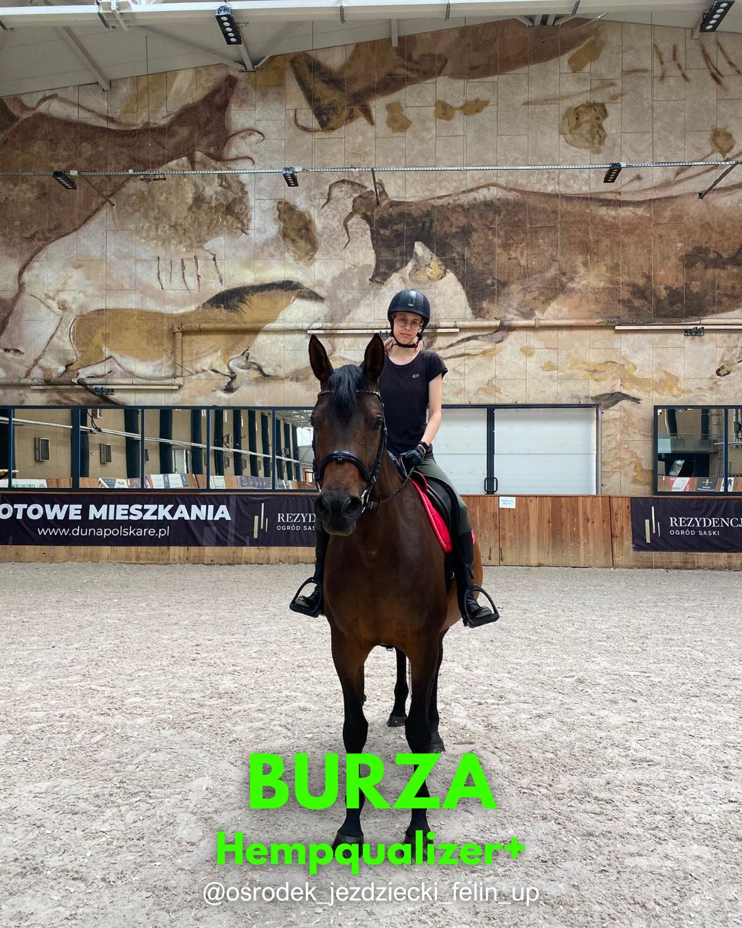 HEMPQUALIZER+ BURZA
