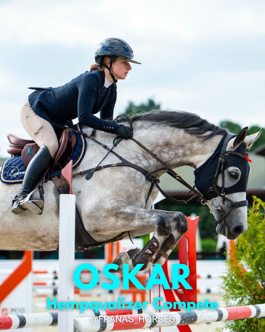 HEMPQUALIZER COMPETE: OSKAR
