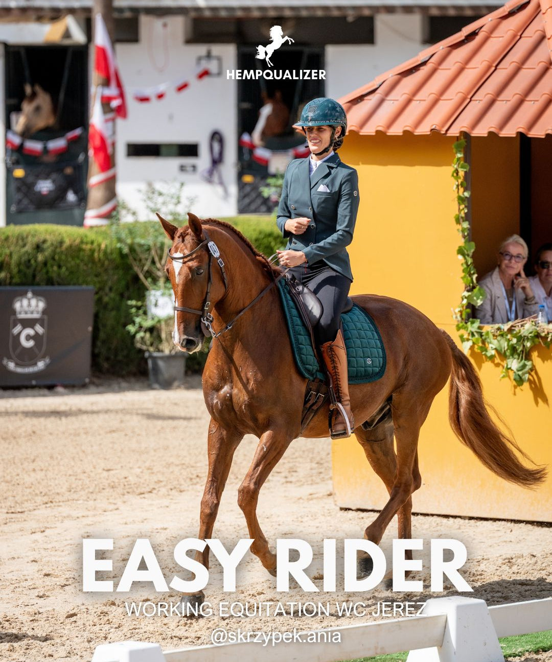 Easy Rider na Mistrzostwach Świata Working Equitation w Jerez