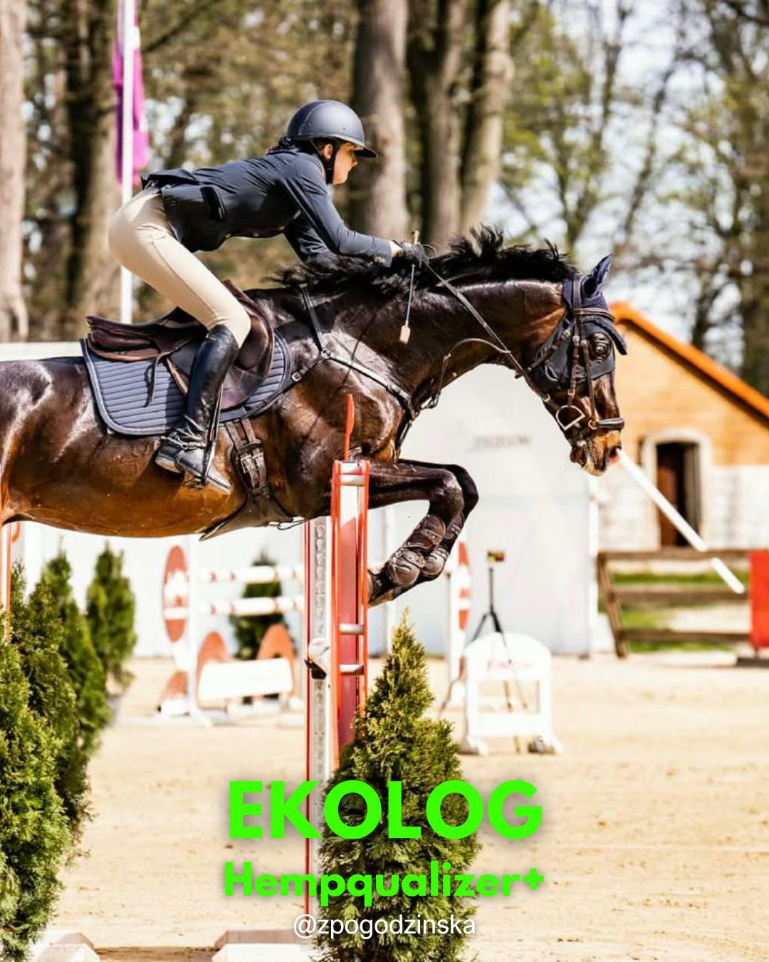 HEMPQUALIZER+ : EKOLOG