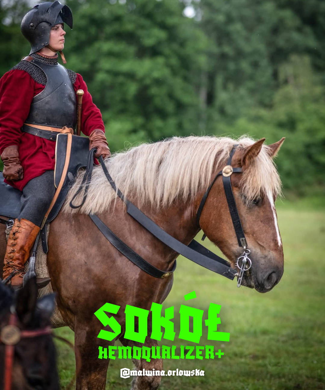 HEMPQUALIZER+ SOKÓŁ HISTORIA KONIA BOJOWEGO