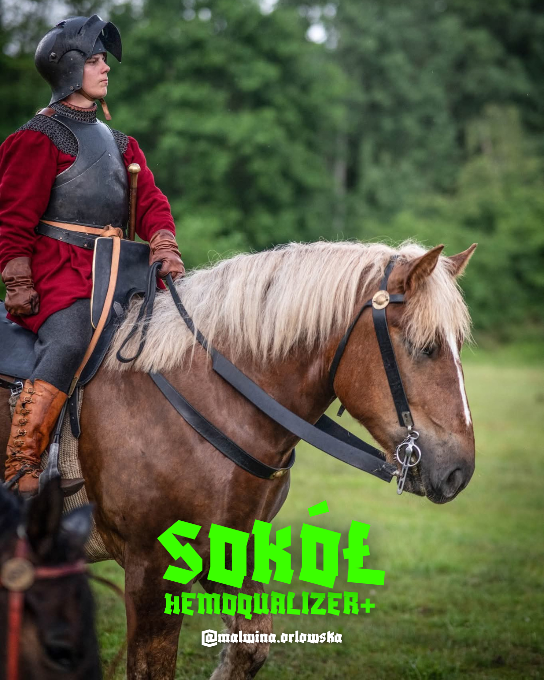 HEMPQUALIZER+ SOKÓŁ HISTORIA KONIA BOJOWEGO