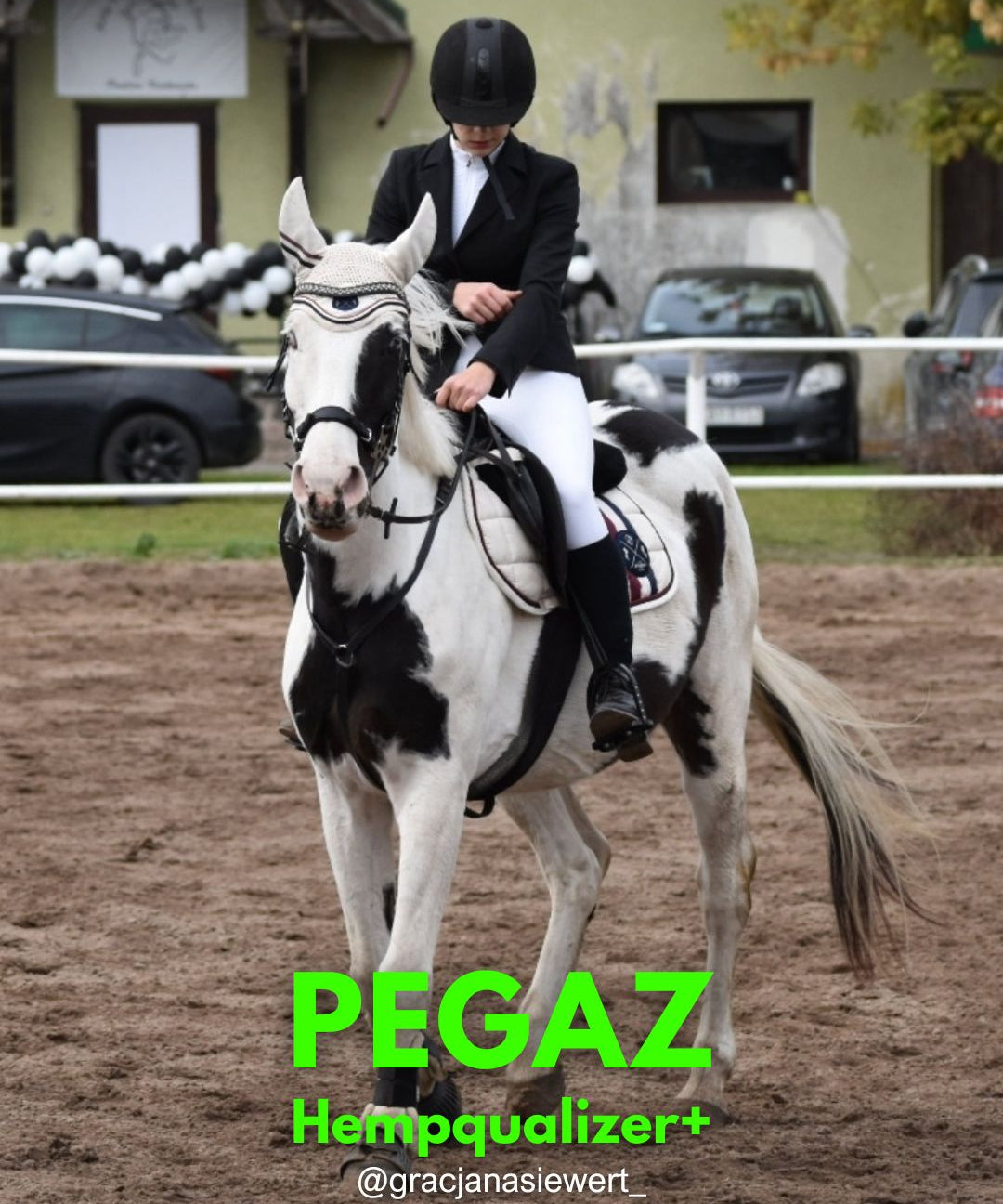 HEMPQUALIZER+ PEGAZ ŚLEPY KOŃ PO PRZEJŚCIACH