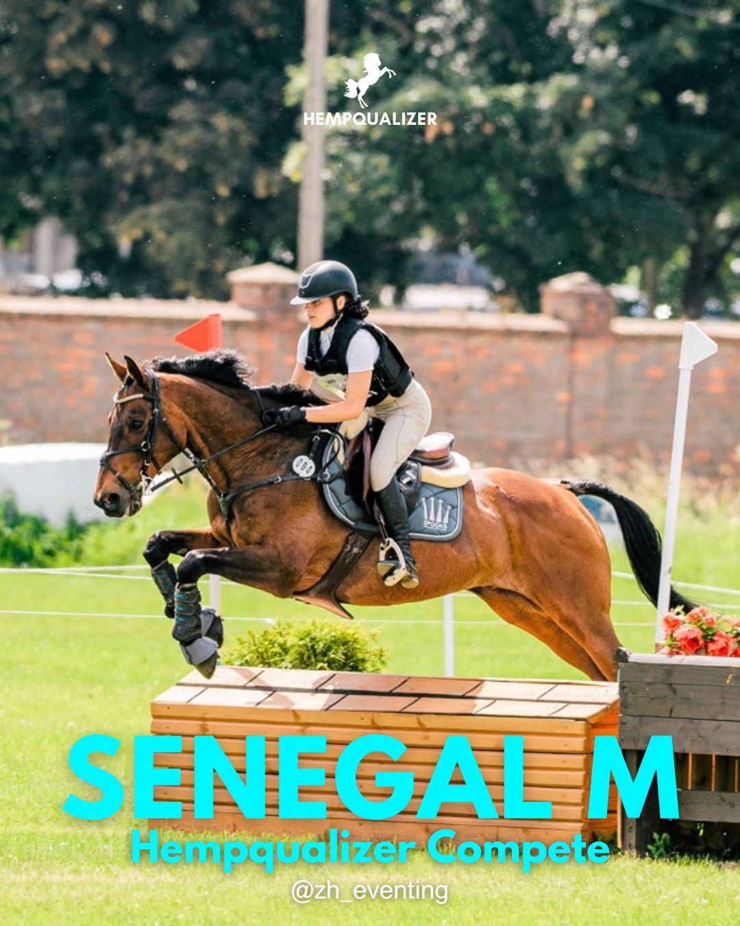 HEMPQUALIZER COMPETE SENEGAL M SPOKÓJ I KONCENTRACJA