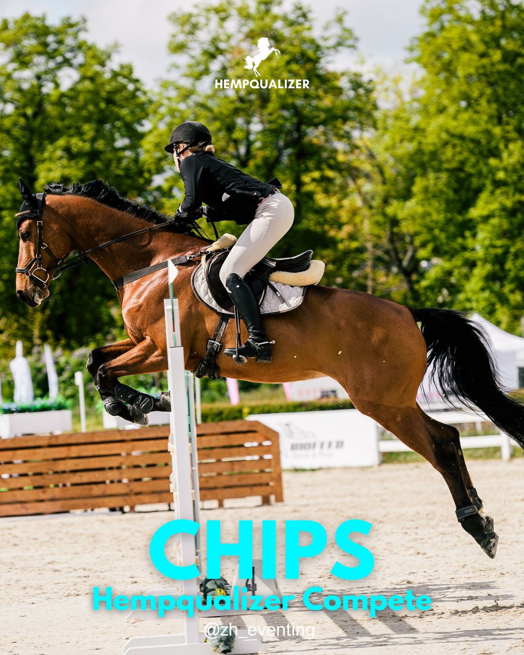 HEMPQUALIZER COMPETE CHIPS USPOKOJENIE
