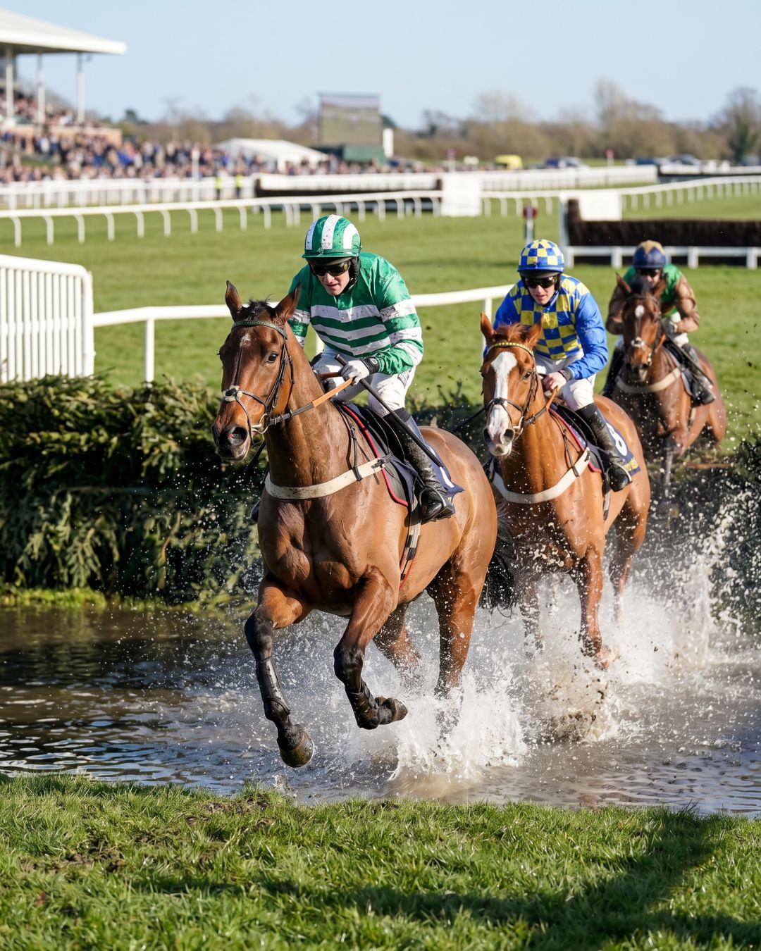HEMPQUALIZER COMPETE WYŚCIGI KONNE GRZEGORZ "GREG" WRÓBLEWSKI