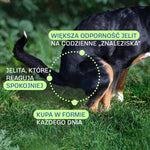 Przesuń obraz